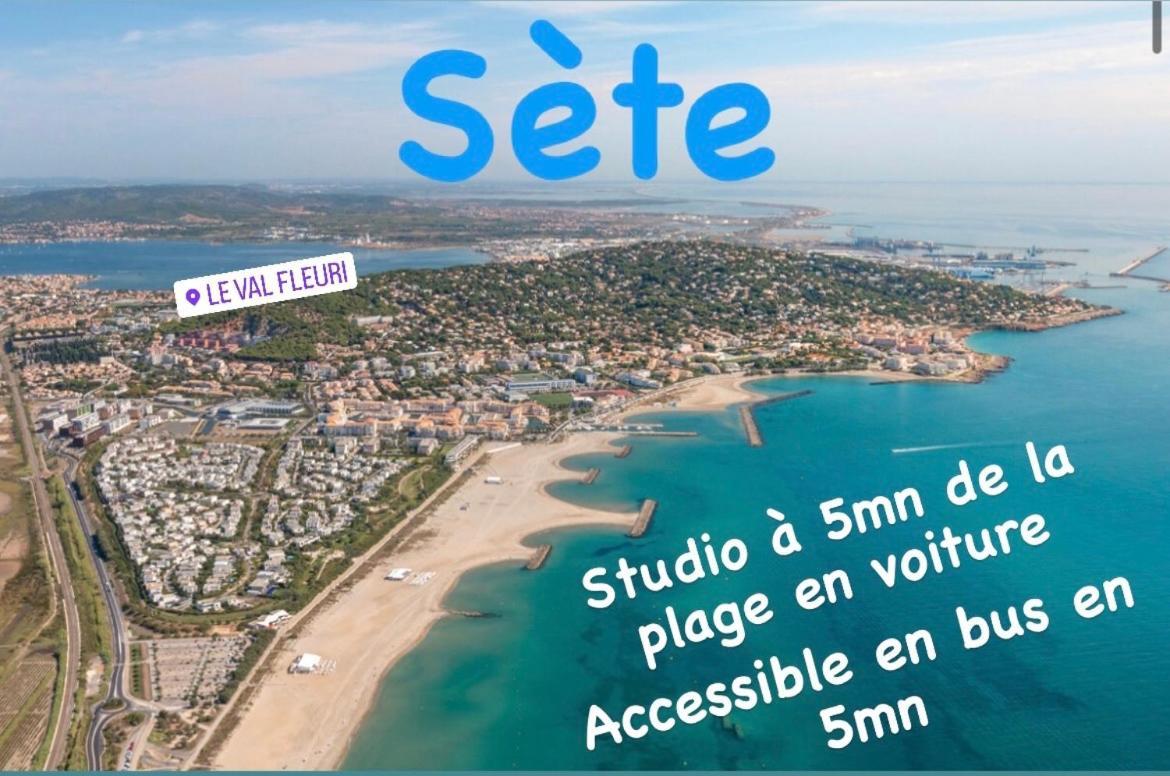 Magnifique Studio A Sete Proche Des Plages Екстериор снимка